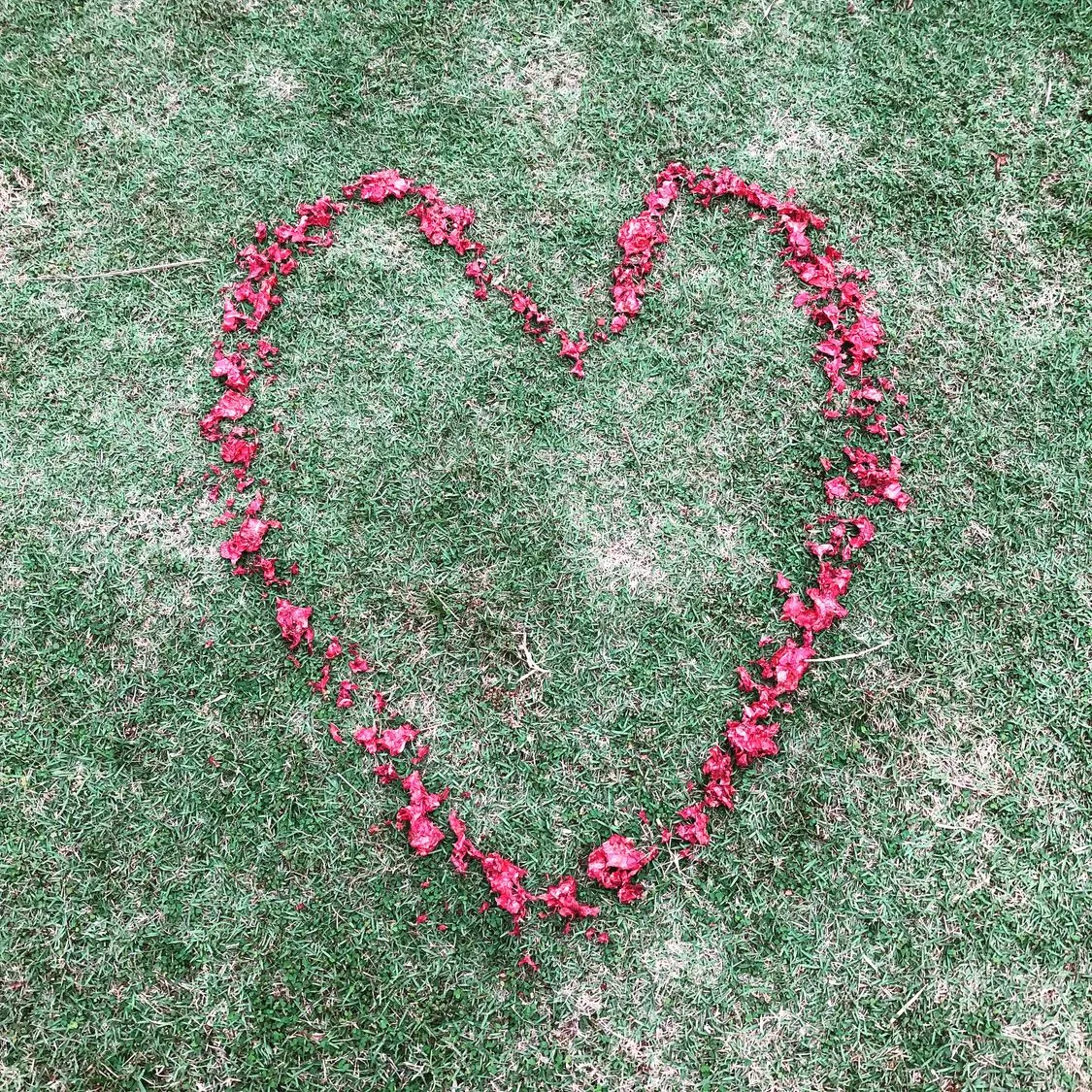 Bali — Heart on grass