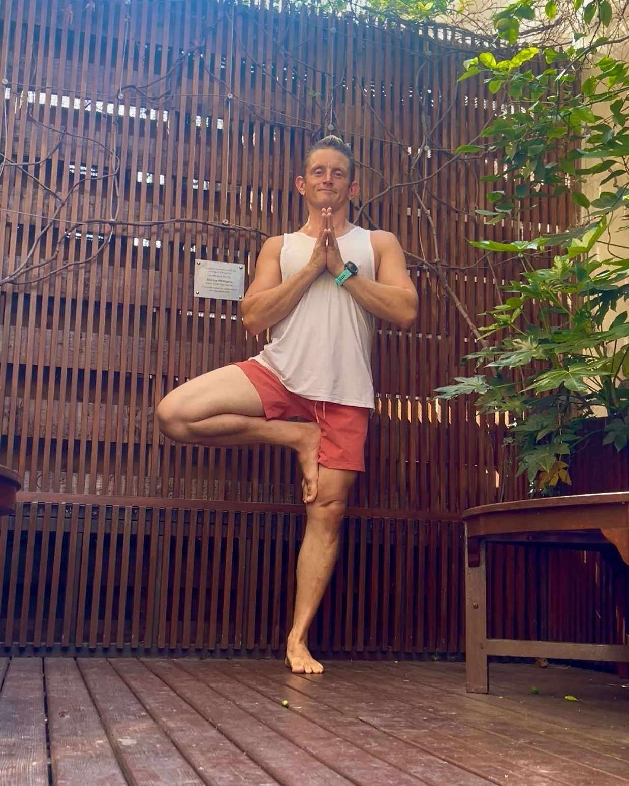 Brixton — Tree pose