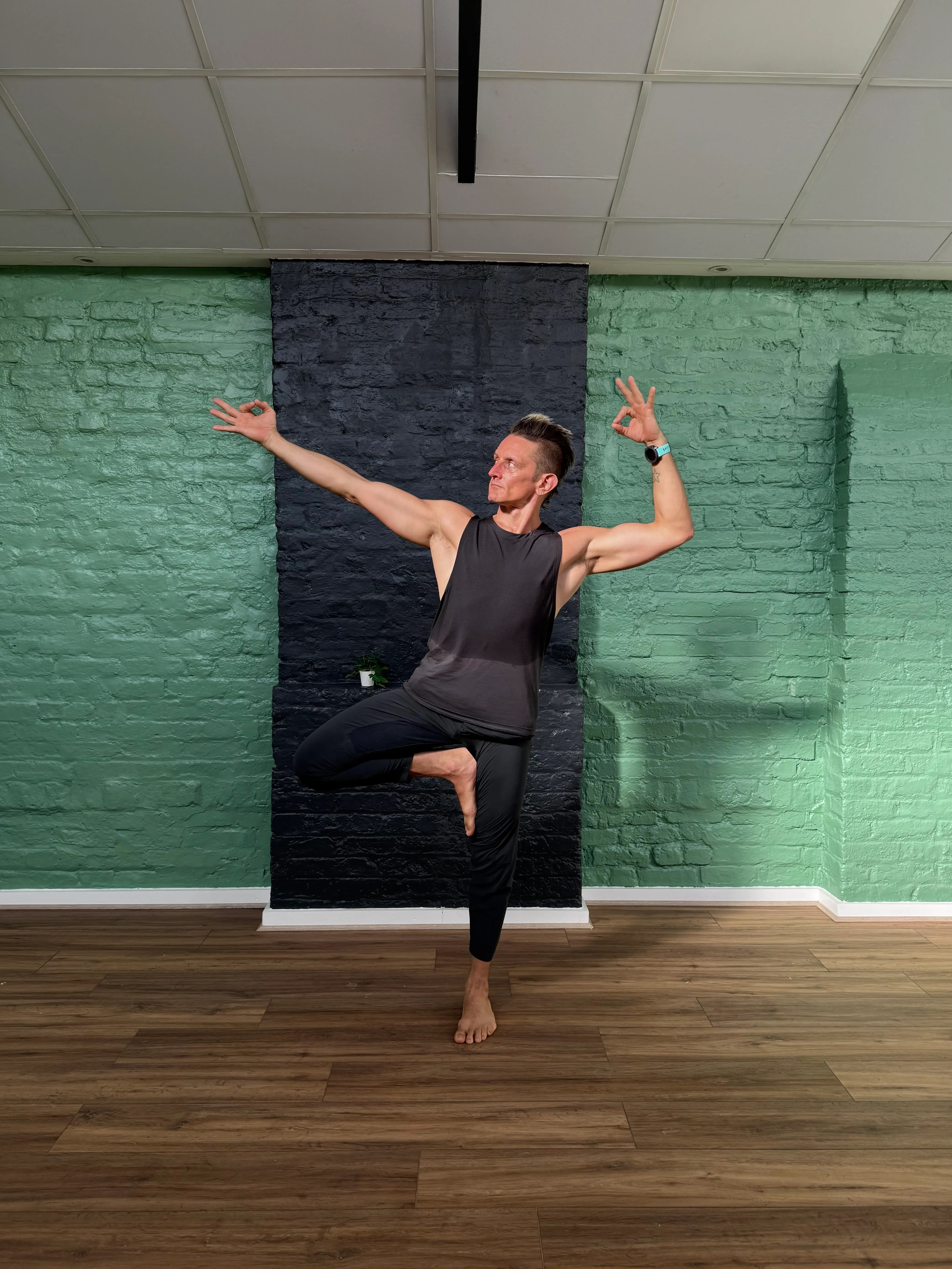 Studio — Tree pose